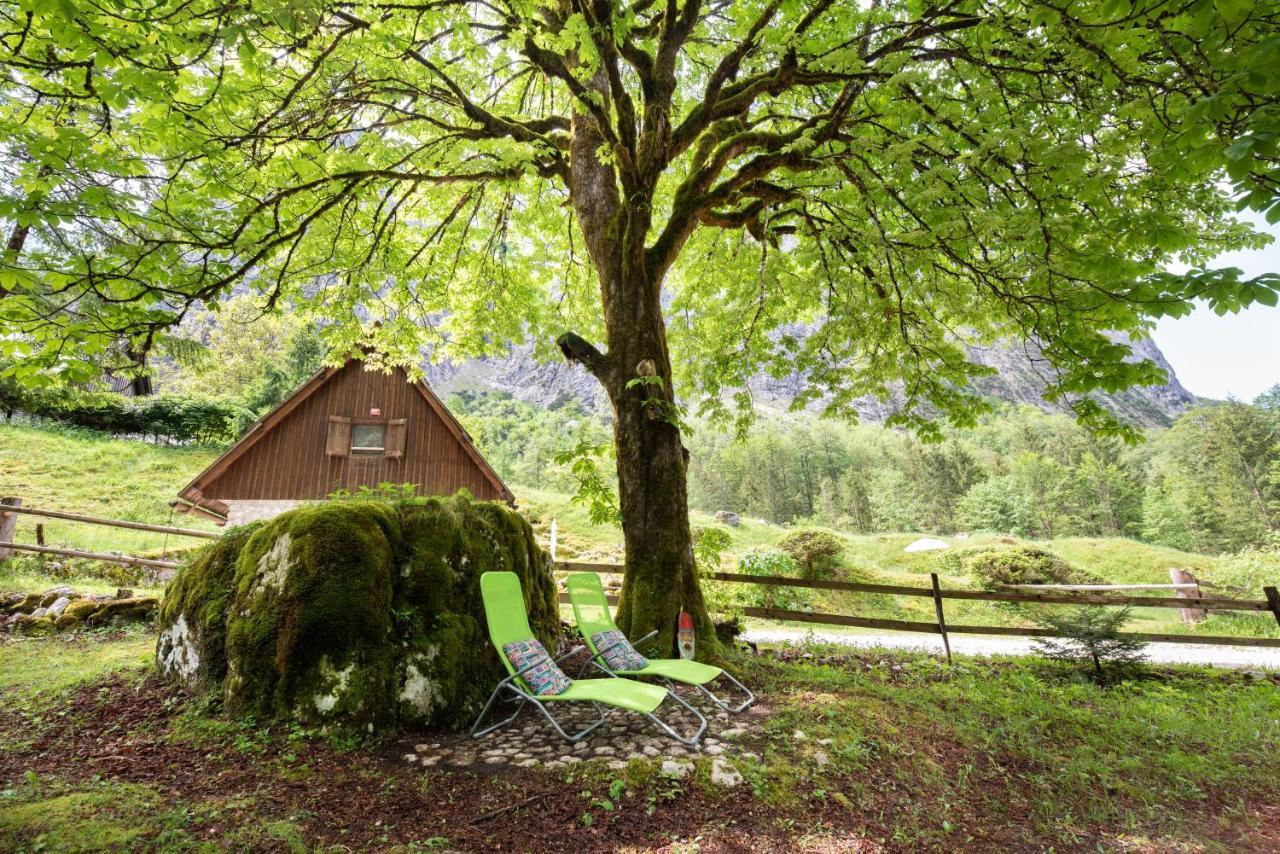 Fairy Tale House Villa Trenta Exteriör bild